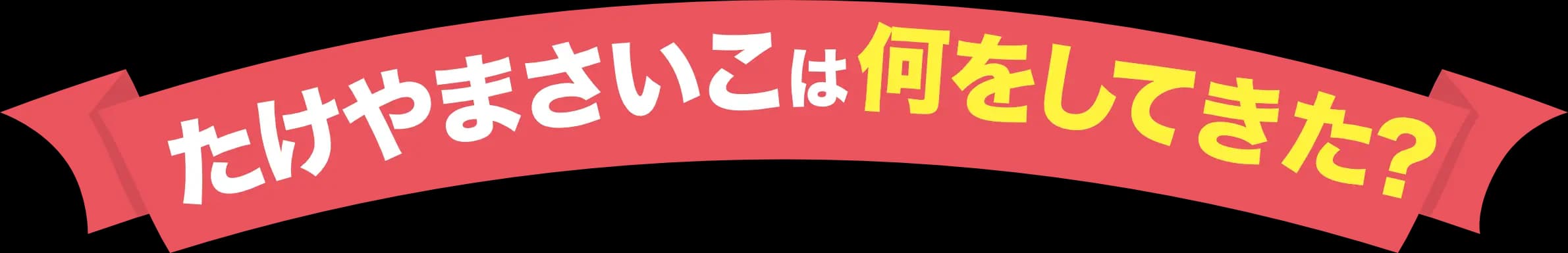 たけやまさいこは何をしてきた？